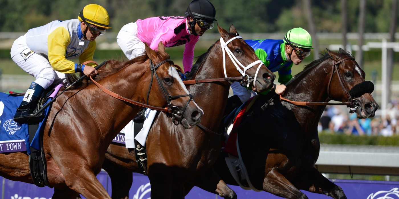 Know Before You Go: Breeders' Cup | Visit Pasadena