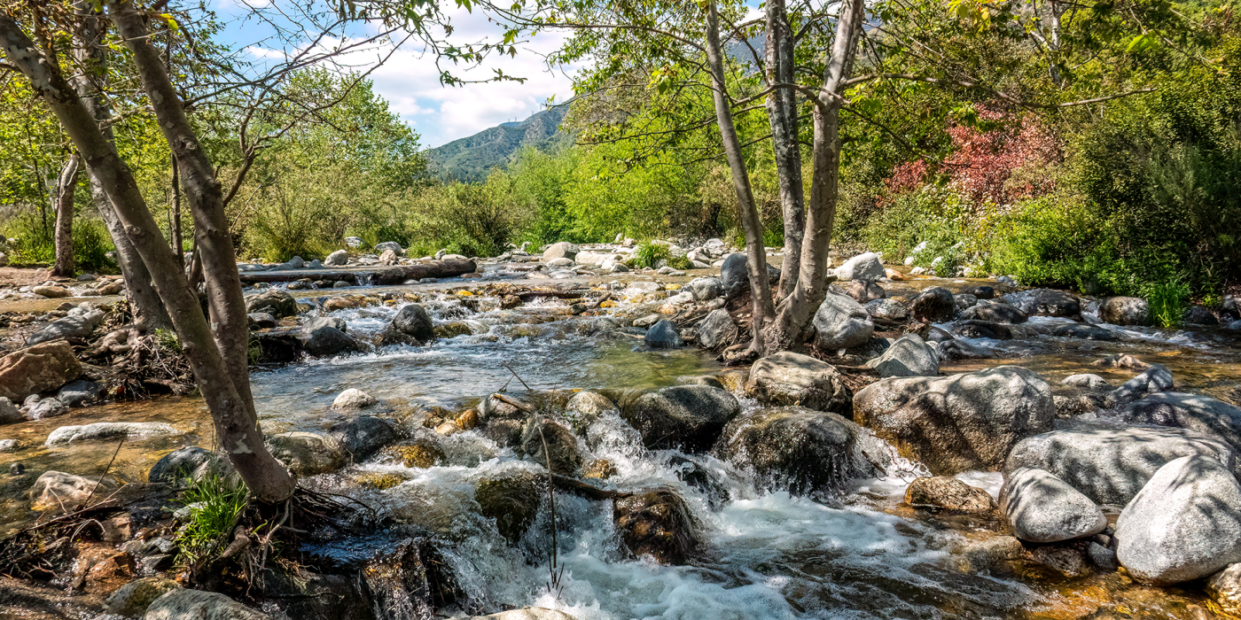 Make Time for the Great Outdoors